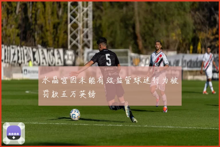 水晶宫因未能有效监管球迷行为被罚款五万英镑