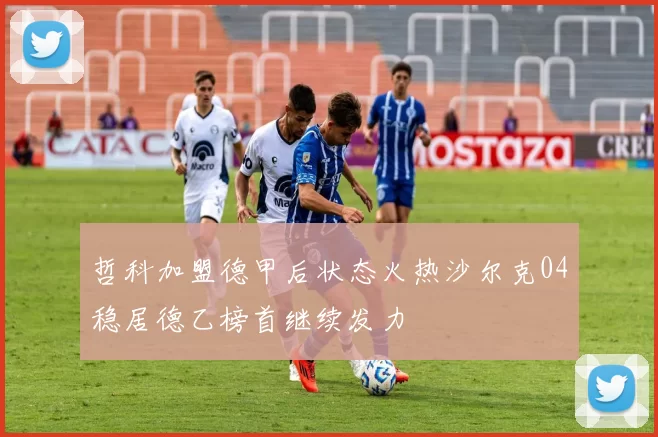 哲科加盟德甲后状态火热沙尔克04稳居德乙榜首继续发力