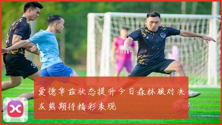 爱德华兹状态提升今日森林狼对决灰熊期待精彩表现