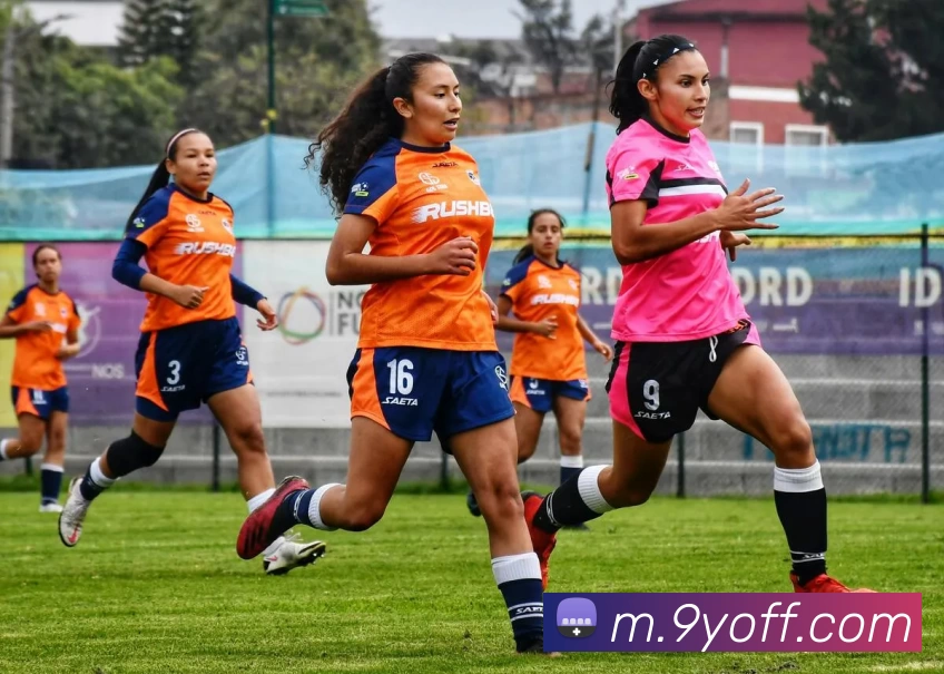 九游体育官网服务体系